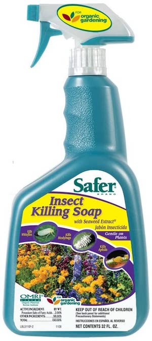 杀虫剂的肥皂