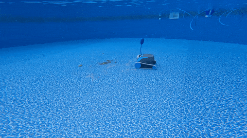 最好的机器人泳池清洁选择